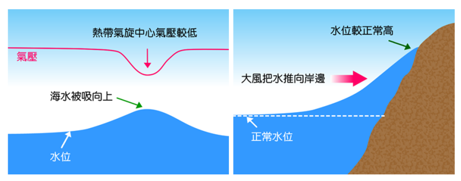 熱帶氣旋的低壓中心會吸起海水(左),風力會推動海水(右)。